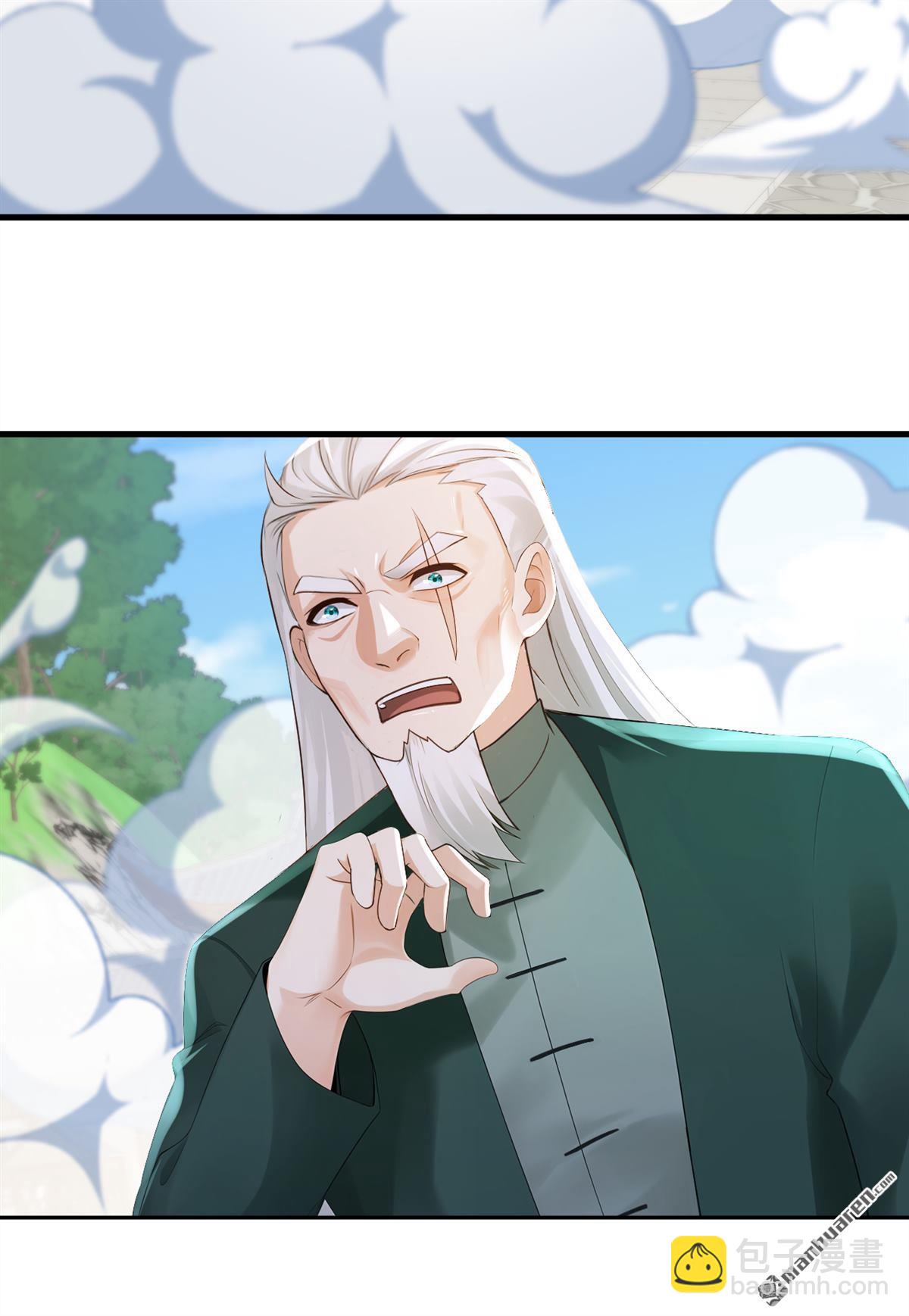 鎮國神婿 - 第250回 他有自己的節奏 - 4