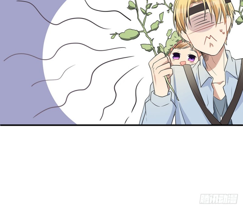 新的开始(1/2)-第34话