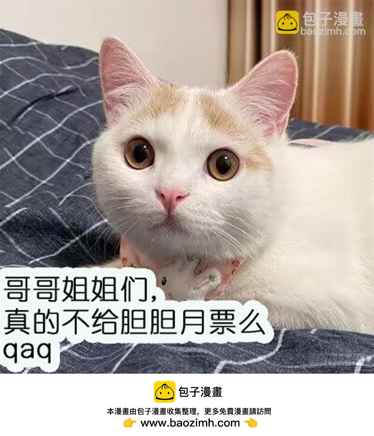 第101话 厉北承的惊喜-第122话