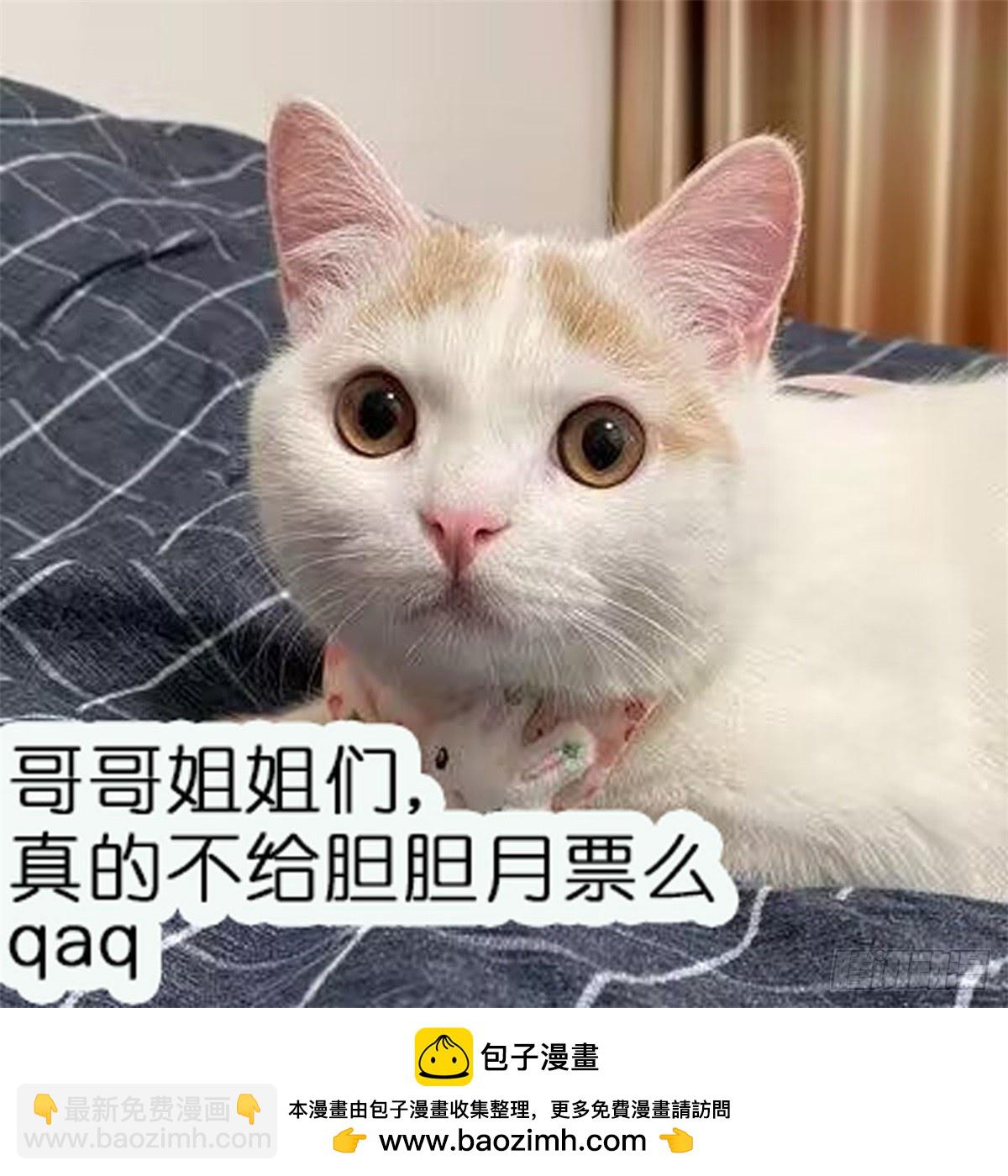 第85话 中毒谋杀-第88话