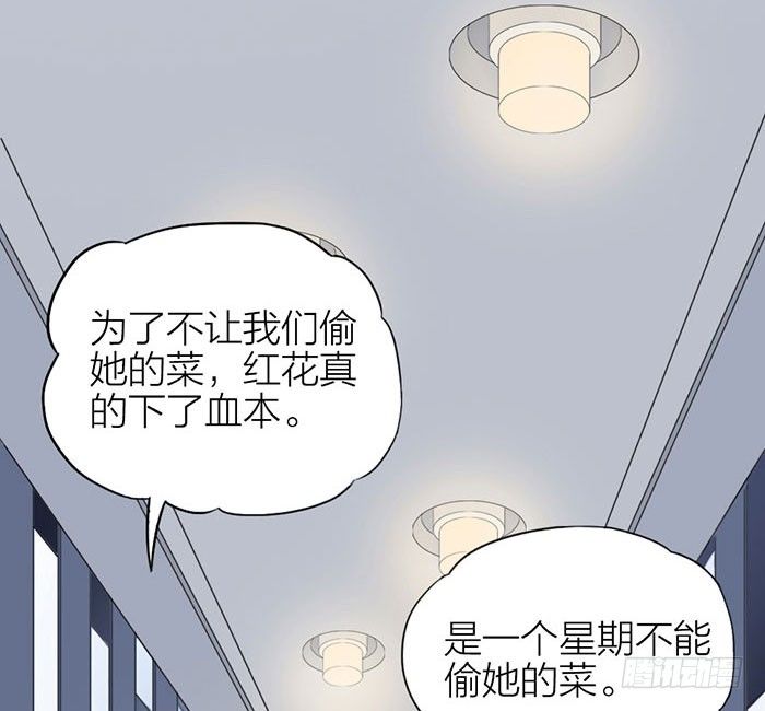 委婉和豪放也就是一瓶酒的距离(1/2)-第4话