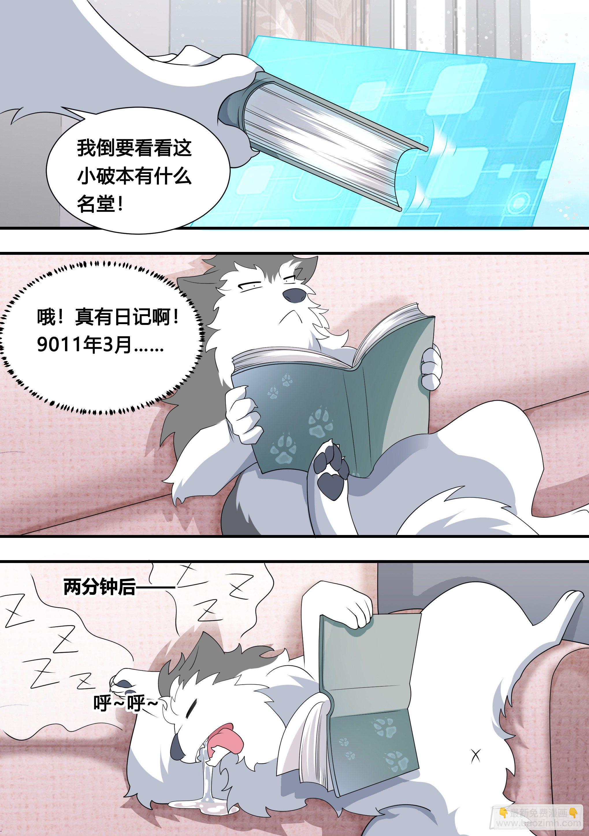 直播：女神家的哈士奇天秀 - 115-聚會不如吃炸串 - 2