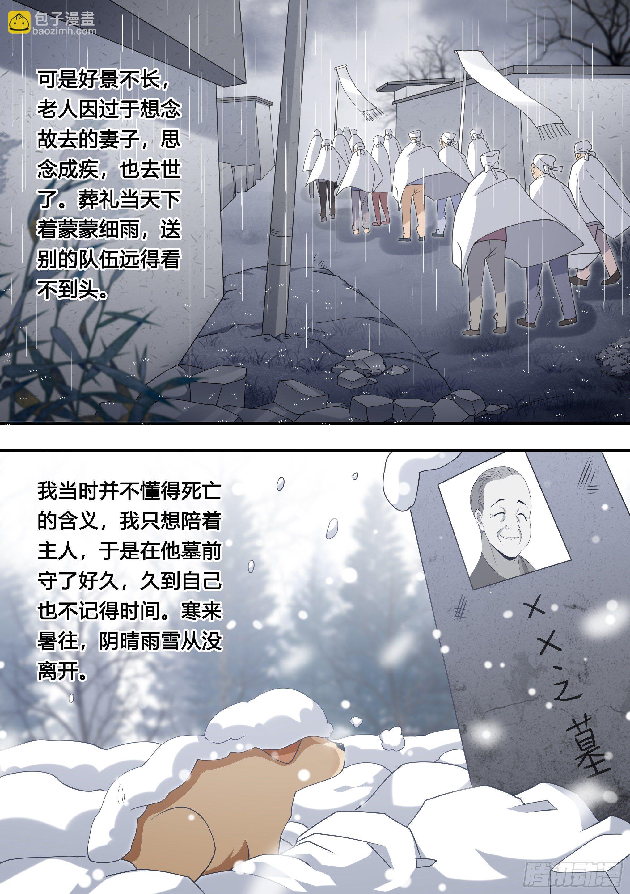 直播：女神家的哈士奇天秀 - 127-流浪狗的苦難生活 - 3