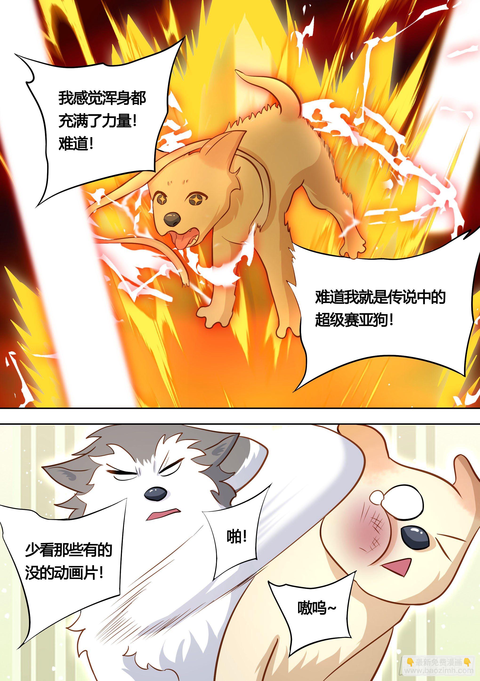 直播：女神家的哈士奇天秀 - 139-一隻想做鹹魚的狗 - 1