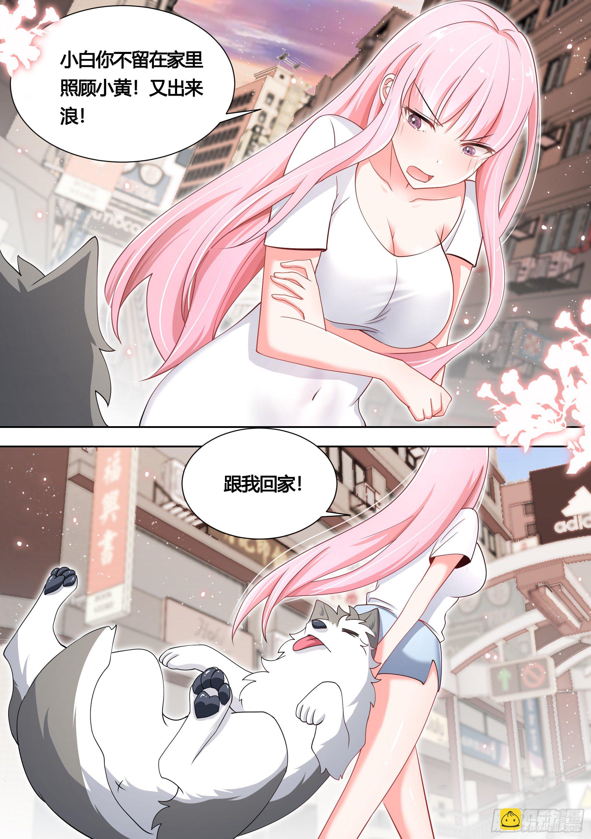 直播：女神家的哈士奇天秀 - 139-一隻想做鹹魚的狗 - 2