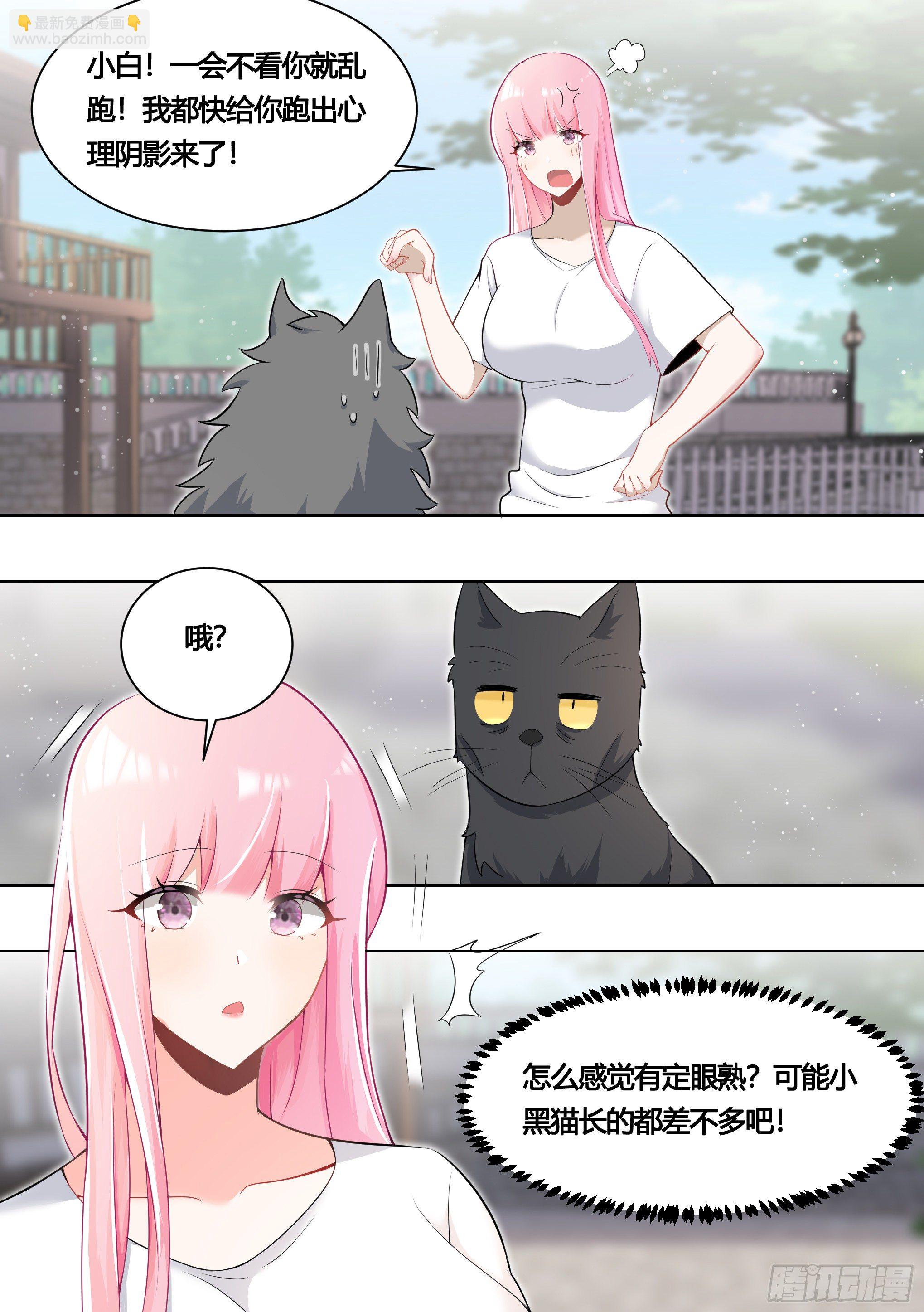 直播：女神家的哈士奇天秀 - 160-落魄小弟求收留 - 3