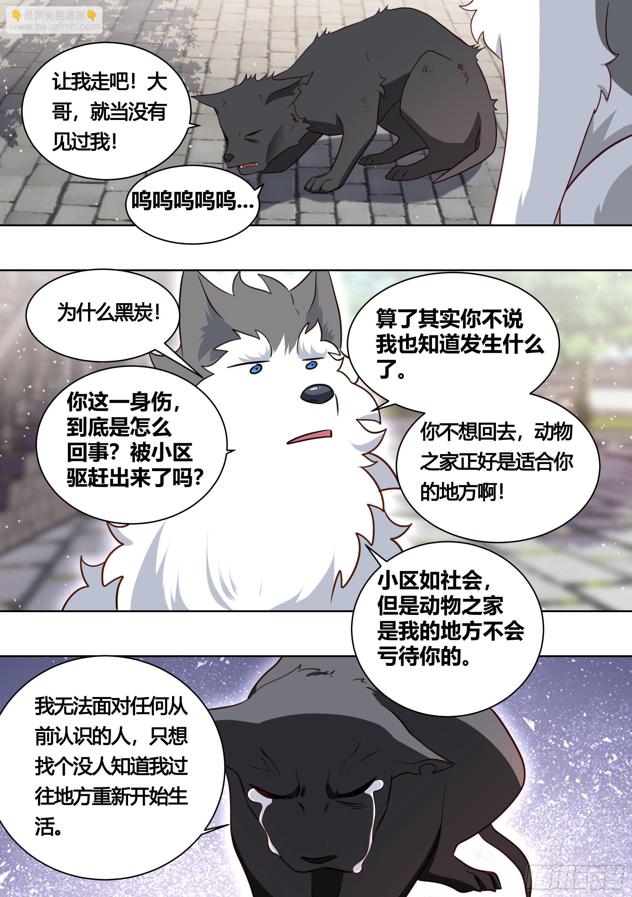 直播：女神家的哈士奇天秀 - 160-落魄小弟求收留 - 1