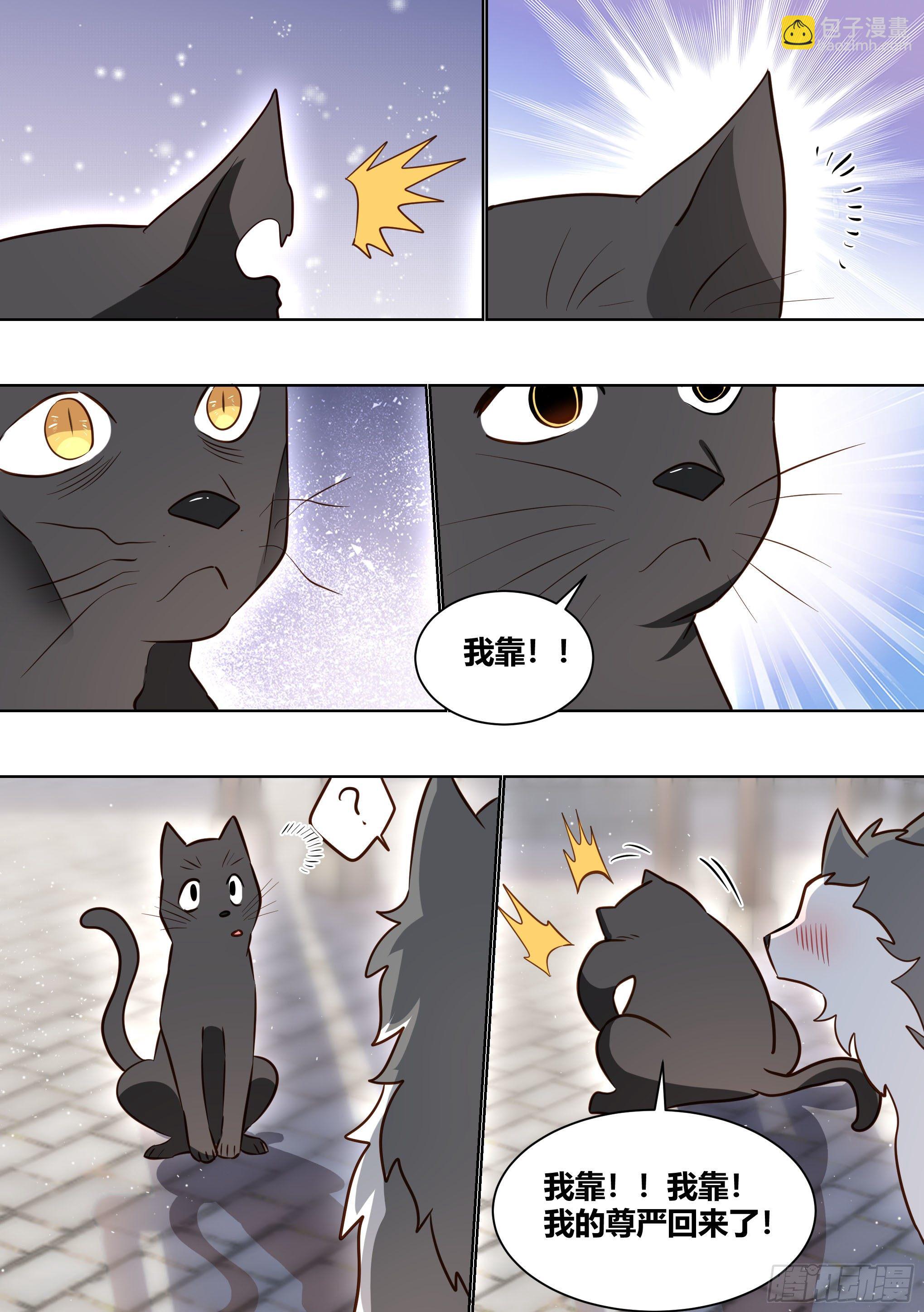 直播：女神家的哈士奇天秀 - 160-落魄小弟求收留 - 1