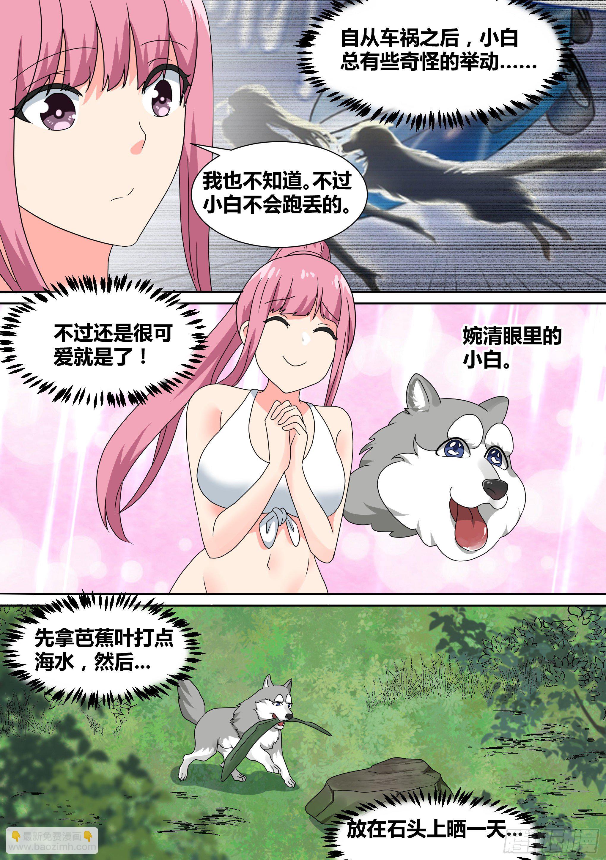 直播：女神家的哈士奇天秀 - 19-美少女荒野泳衣派對！ - 4