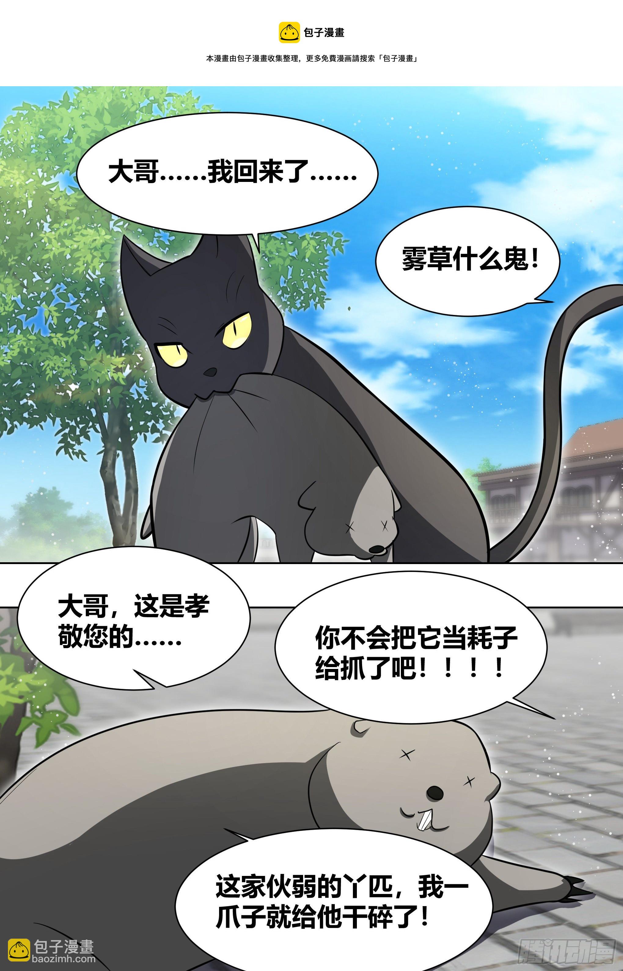 直播：女神家的哈士奇天秀 - 200-貓的報恩 - 2