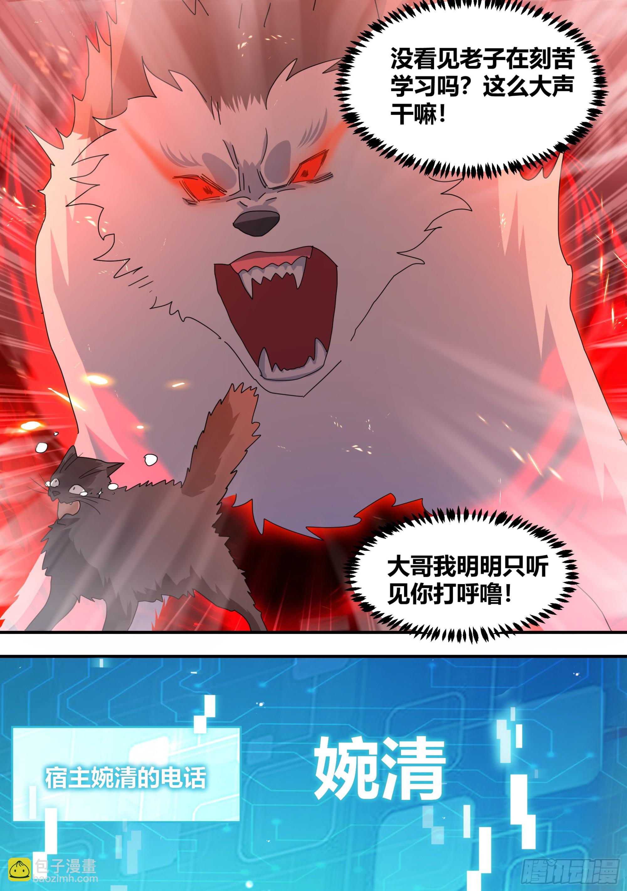 直播：女神家的哈士奇天秀 - 狗生美滿 - 1