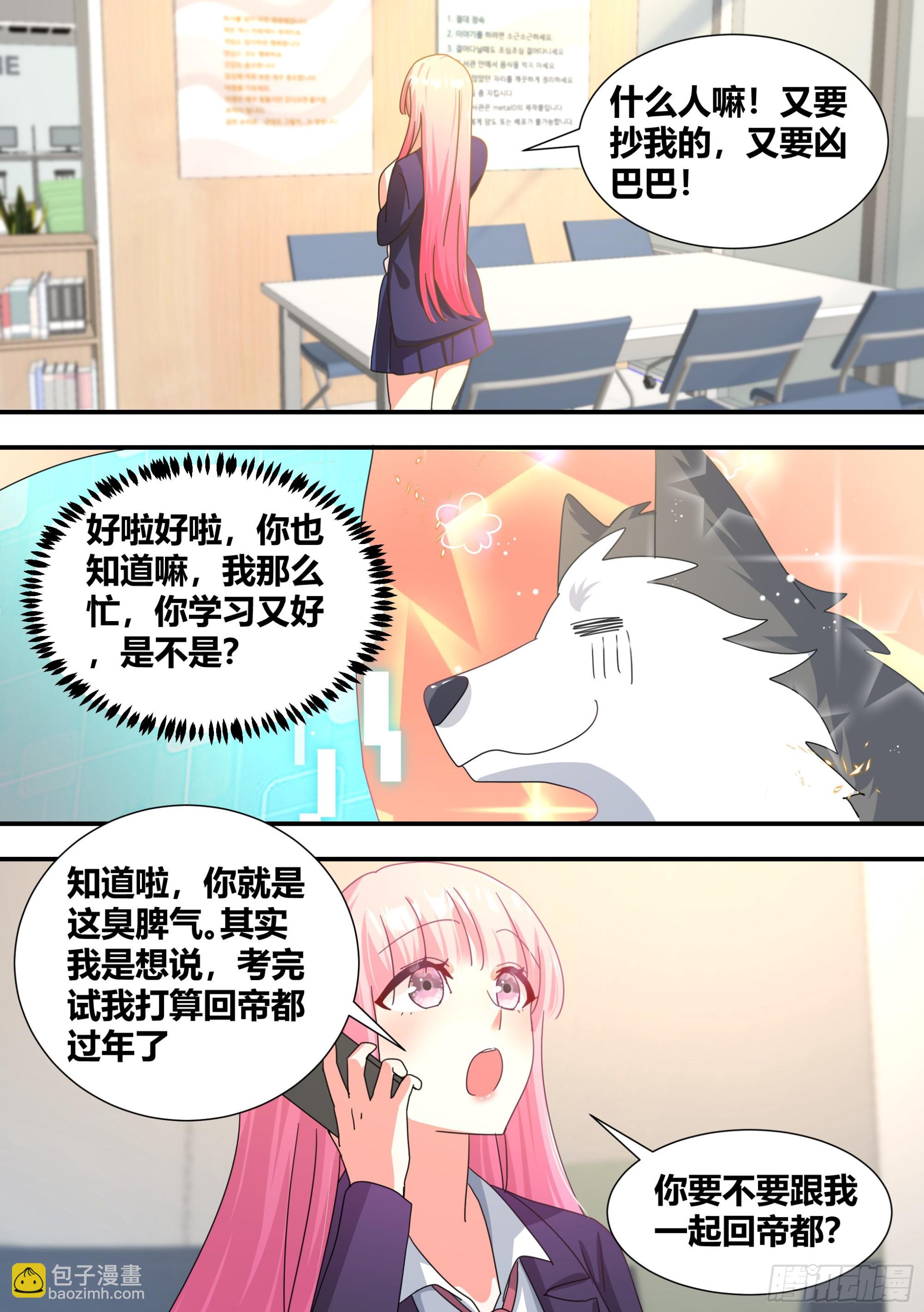 直播：女神家的哈士奇天秀 - 狗生美滿 - 3