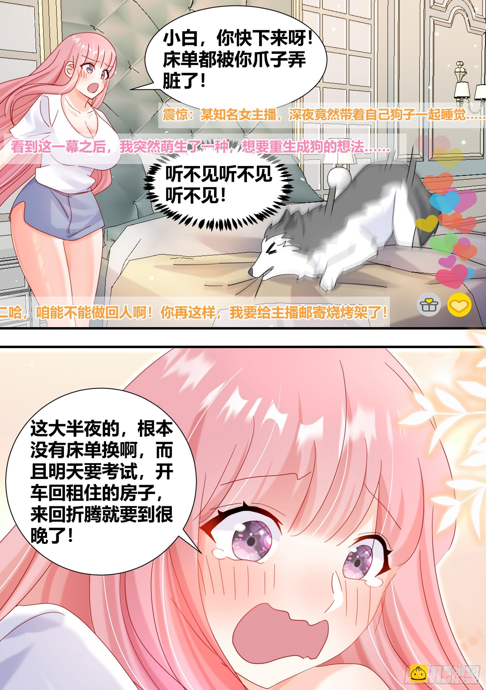 直播：女神家的哈士奇天秀 - 296-哈士奇的選擇 - 2