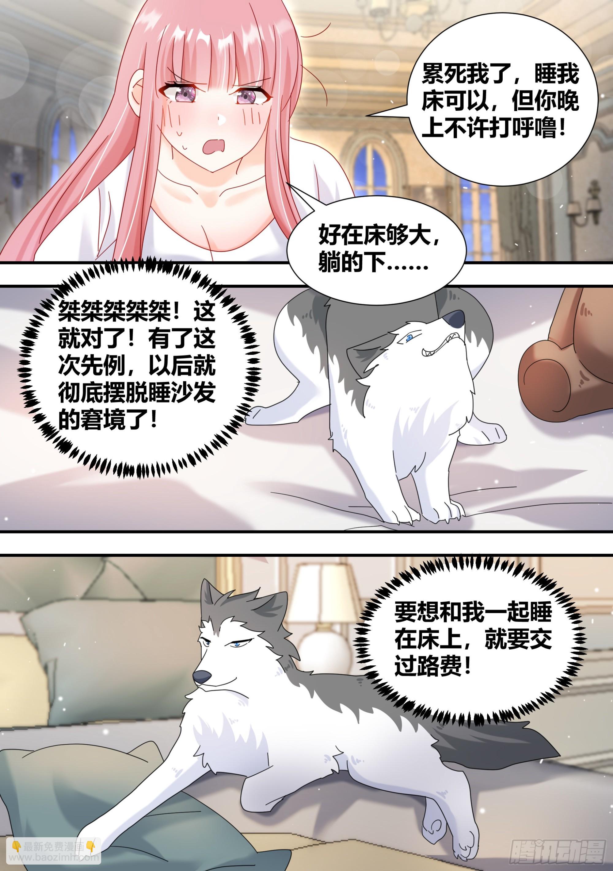 直播：女神家的哈士奇天秀 - 296-哈士奇的選擇 - 3