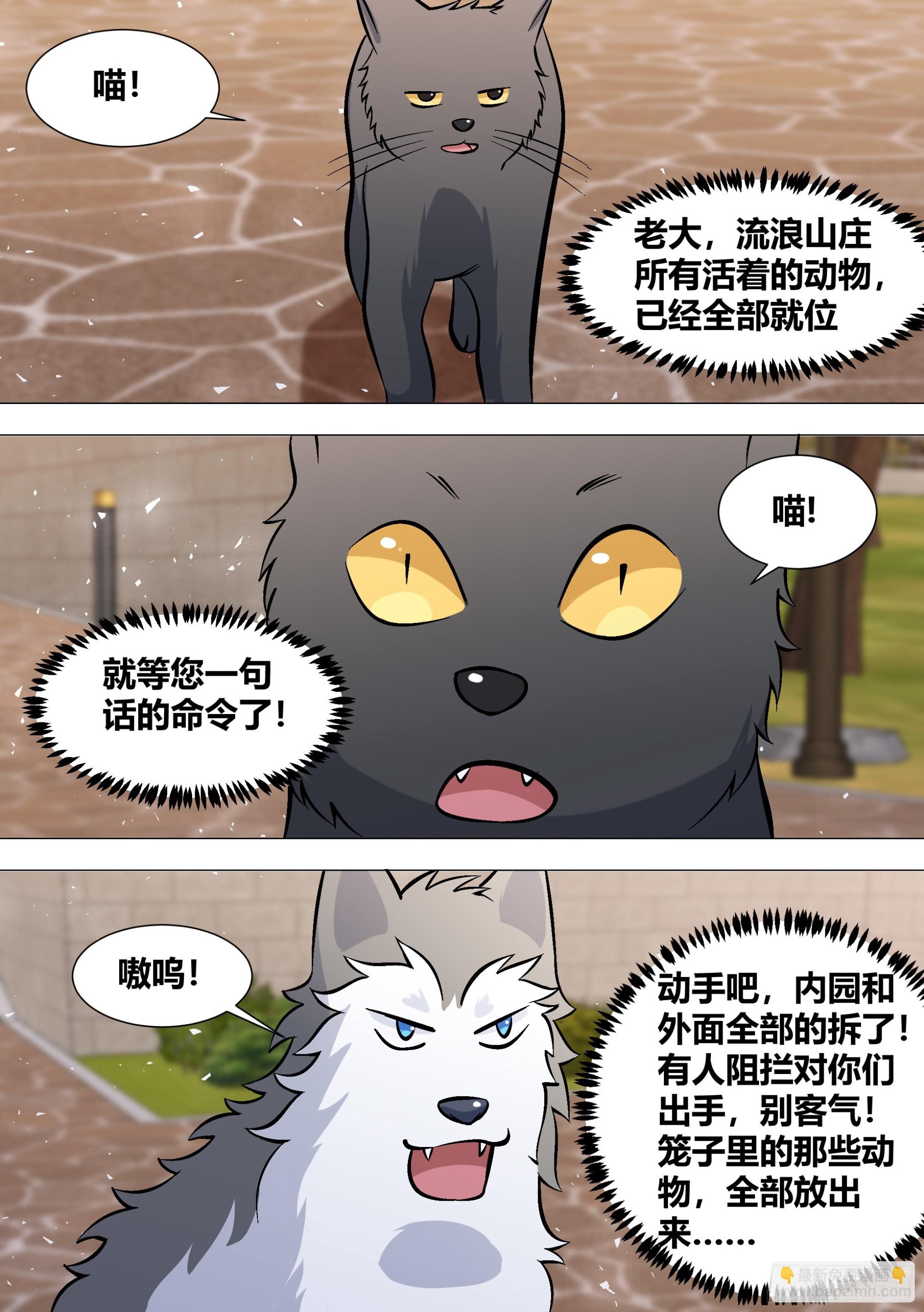 直播：女神家的哈士奇天秀 - 390-不...不要過來啊 - 3