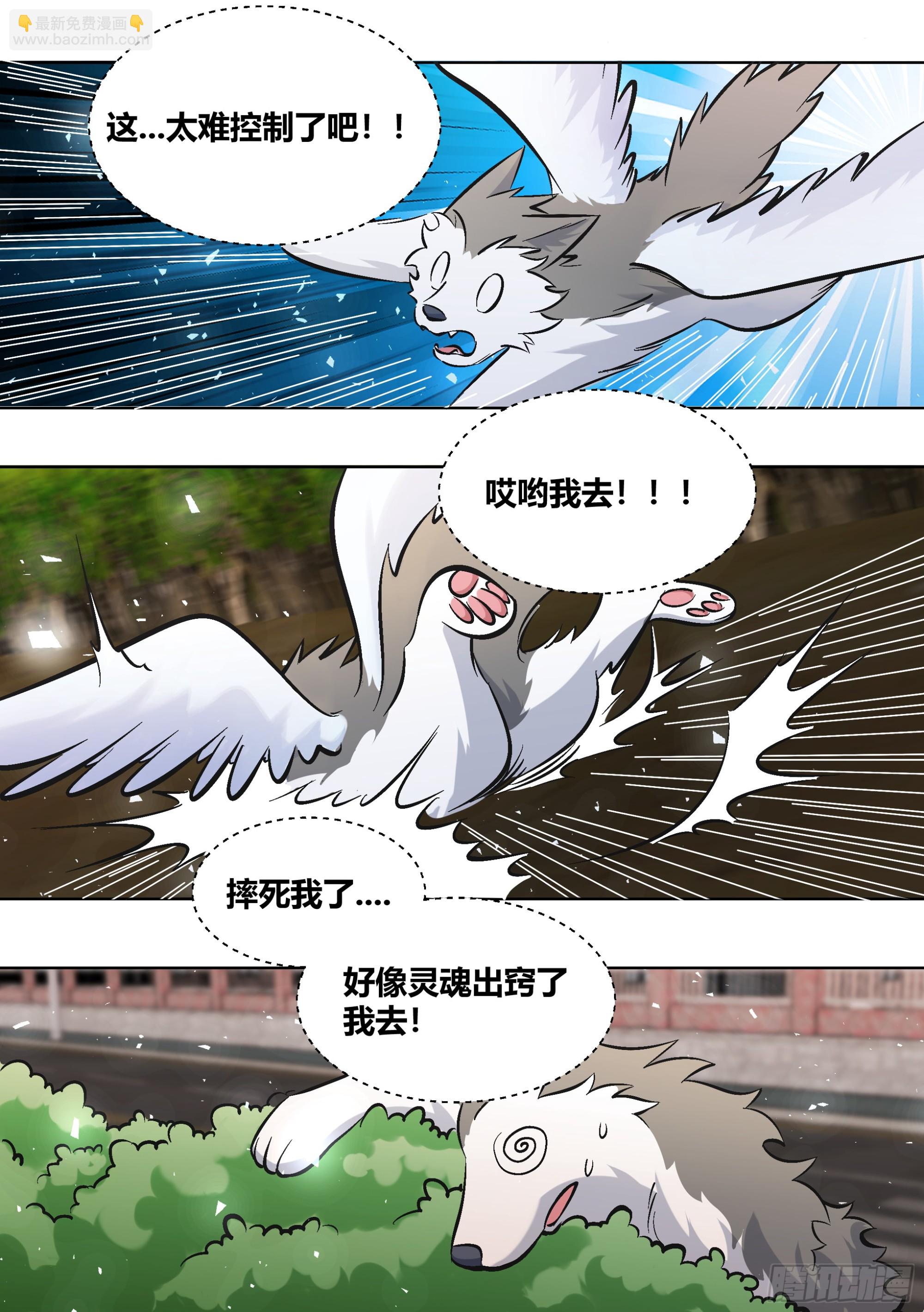 直播：女神家的哈士奇天秀 - 400-說你兩句，你就跳樓了？ - 3