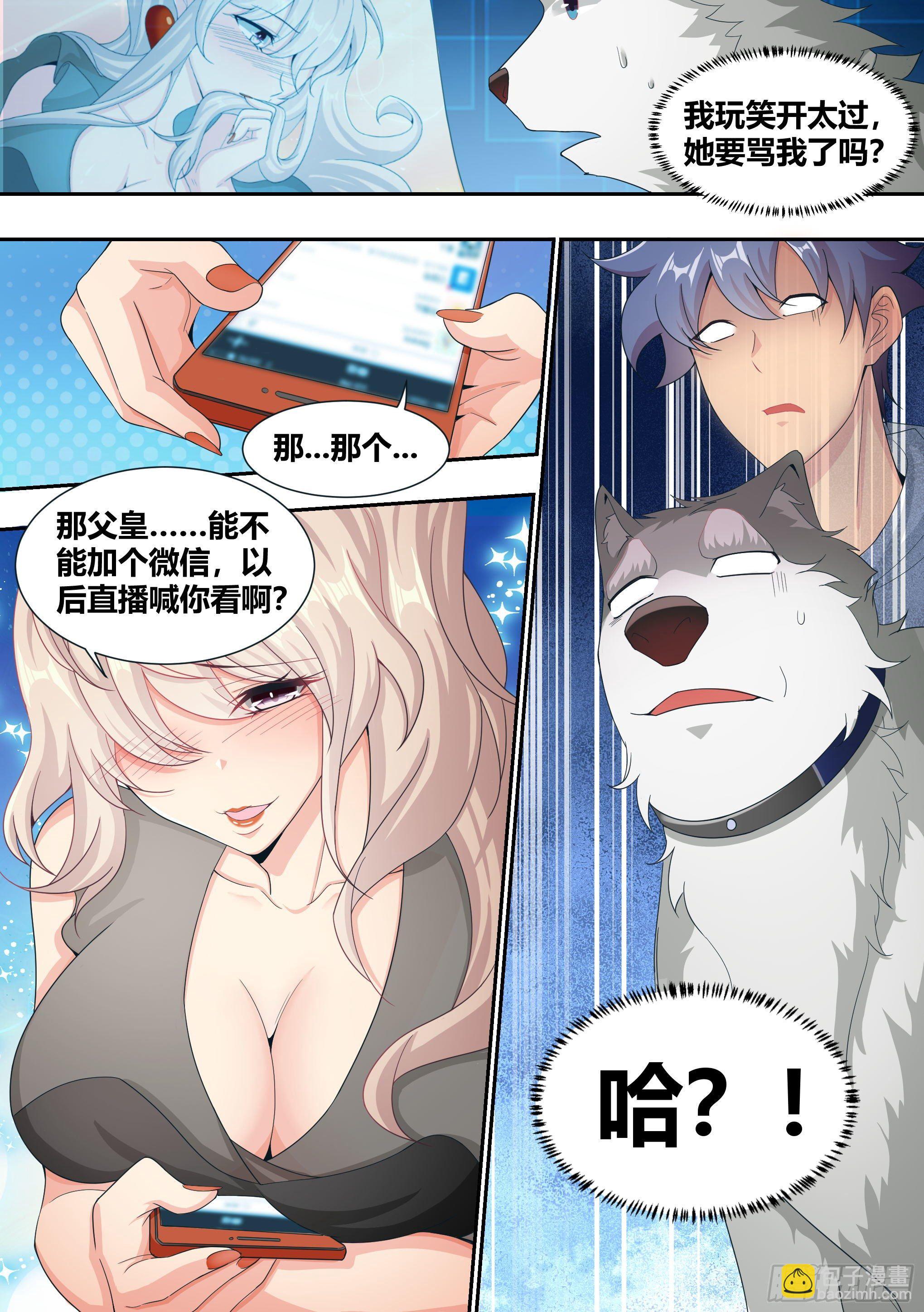 直播：女神家的哈士奇天秀 - 5-父皇，加個微信 - 2