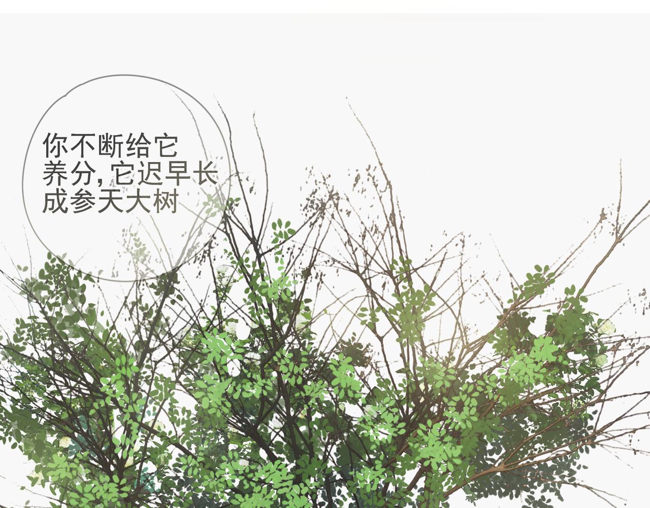 第81话 最喜欢的树(1/2)-第72话