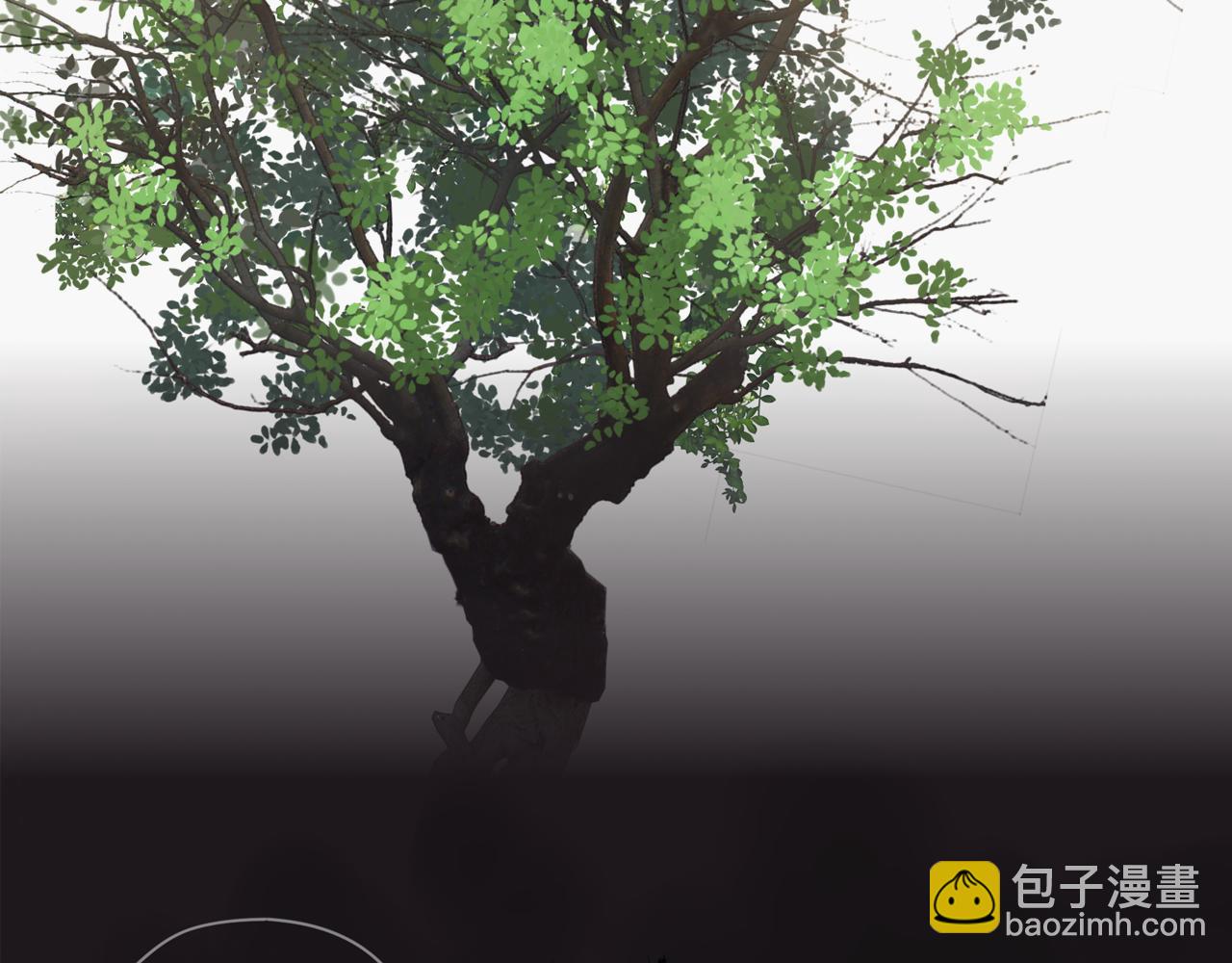 第81话 最喜欢的树(1/2)-第72话