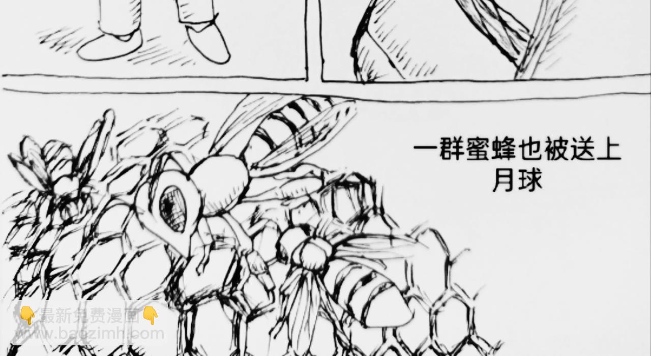 智慧之星 - 火種傳說 - 4