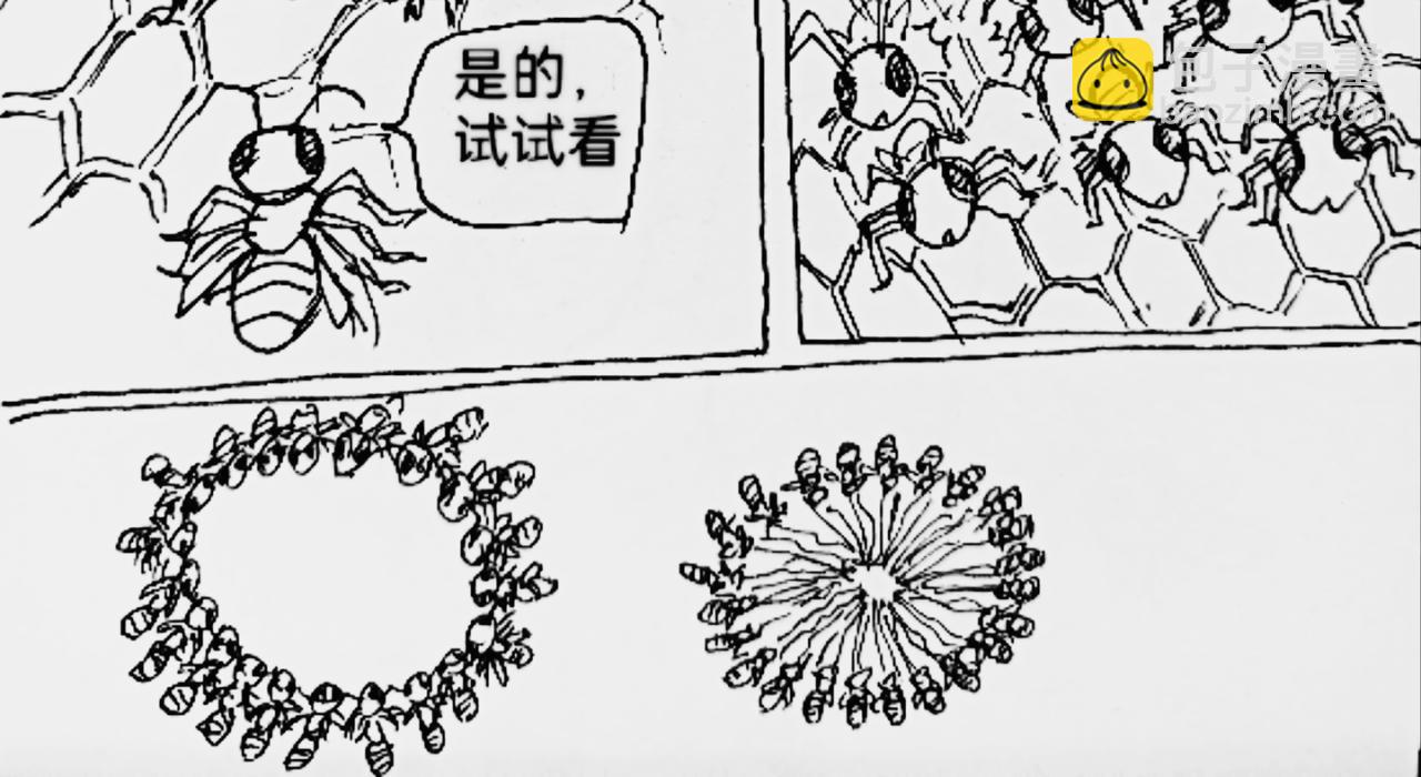 智慧之星 - 火種傳說 - 2