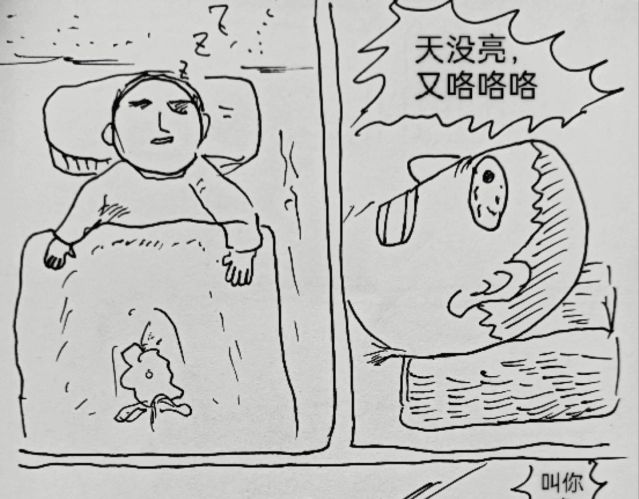 智慧之星 - 自由的天空(1/2) - 5