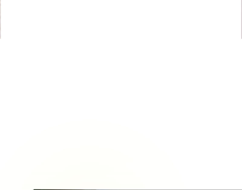 知君深情不易 - 第119話 前輩，爲何傷十五？(1/2) - 8