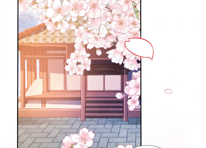 知君深情不易 - 第125話 十五的心意(1/3) - 2