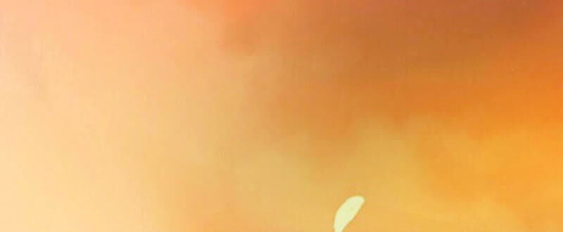 知君深情不易 - 第137話 美人，我等你哦~(1/2) - 1