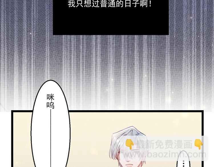 致命吸引 - 第9話  目標？明星！(2/2) - 6