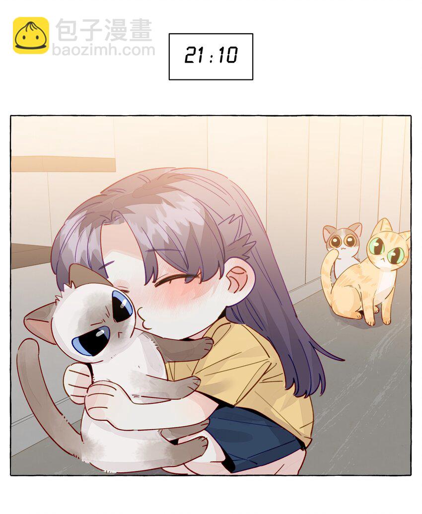 134 番外2+联动 展映的一天-第160话