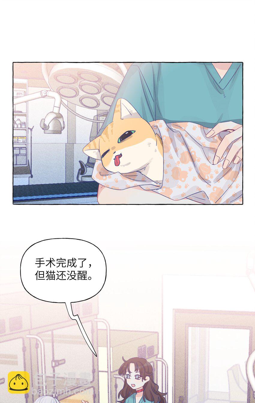 024 流浪猫的秘密-第28话