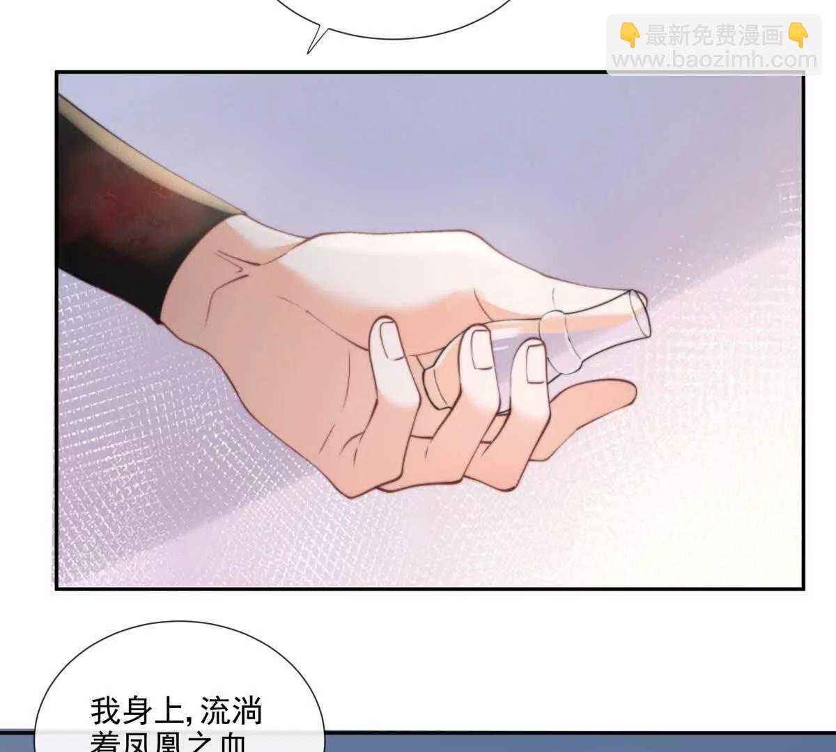 凤凰之血(1/3)-第30话