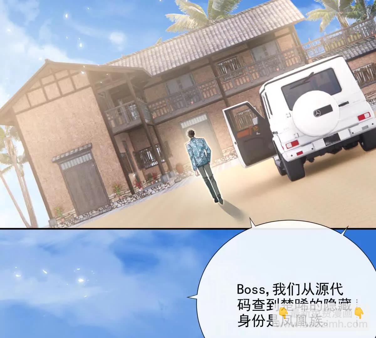 凤凰之血(1/3)-第30话