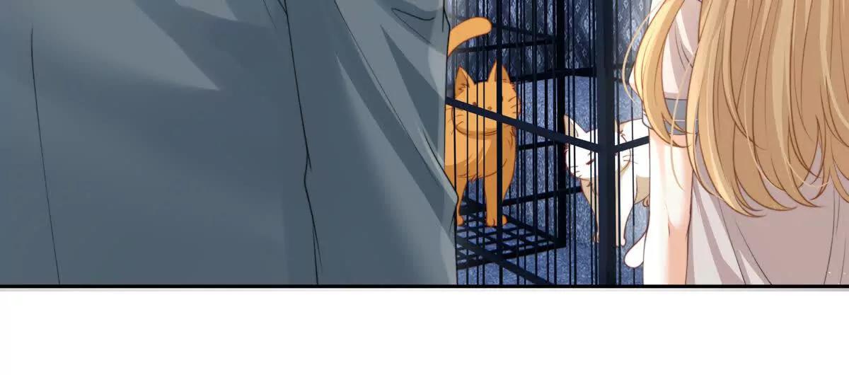 极限营救(1/2)-第44话