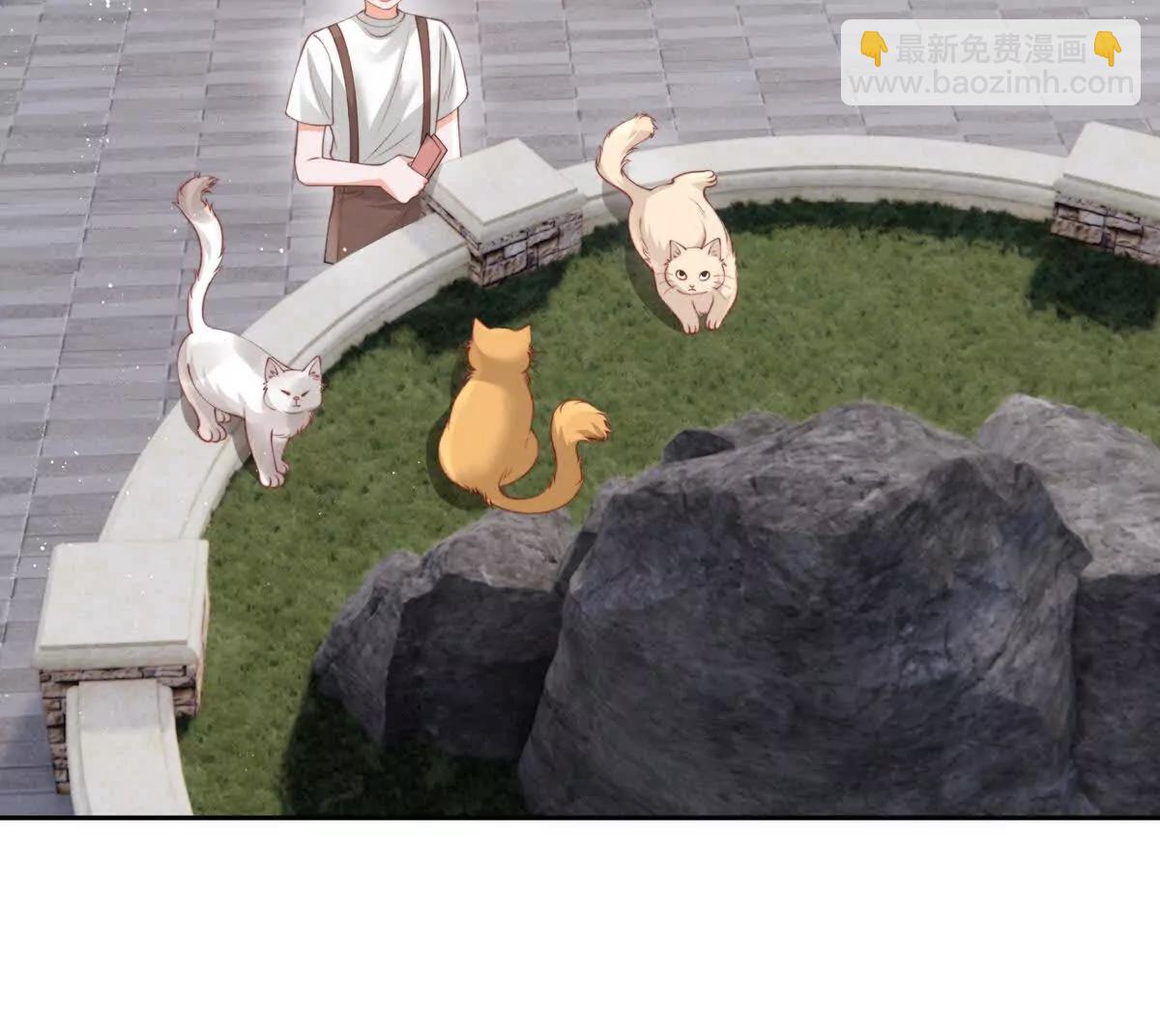 极限营救(1/2)-第44话