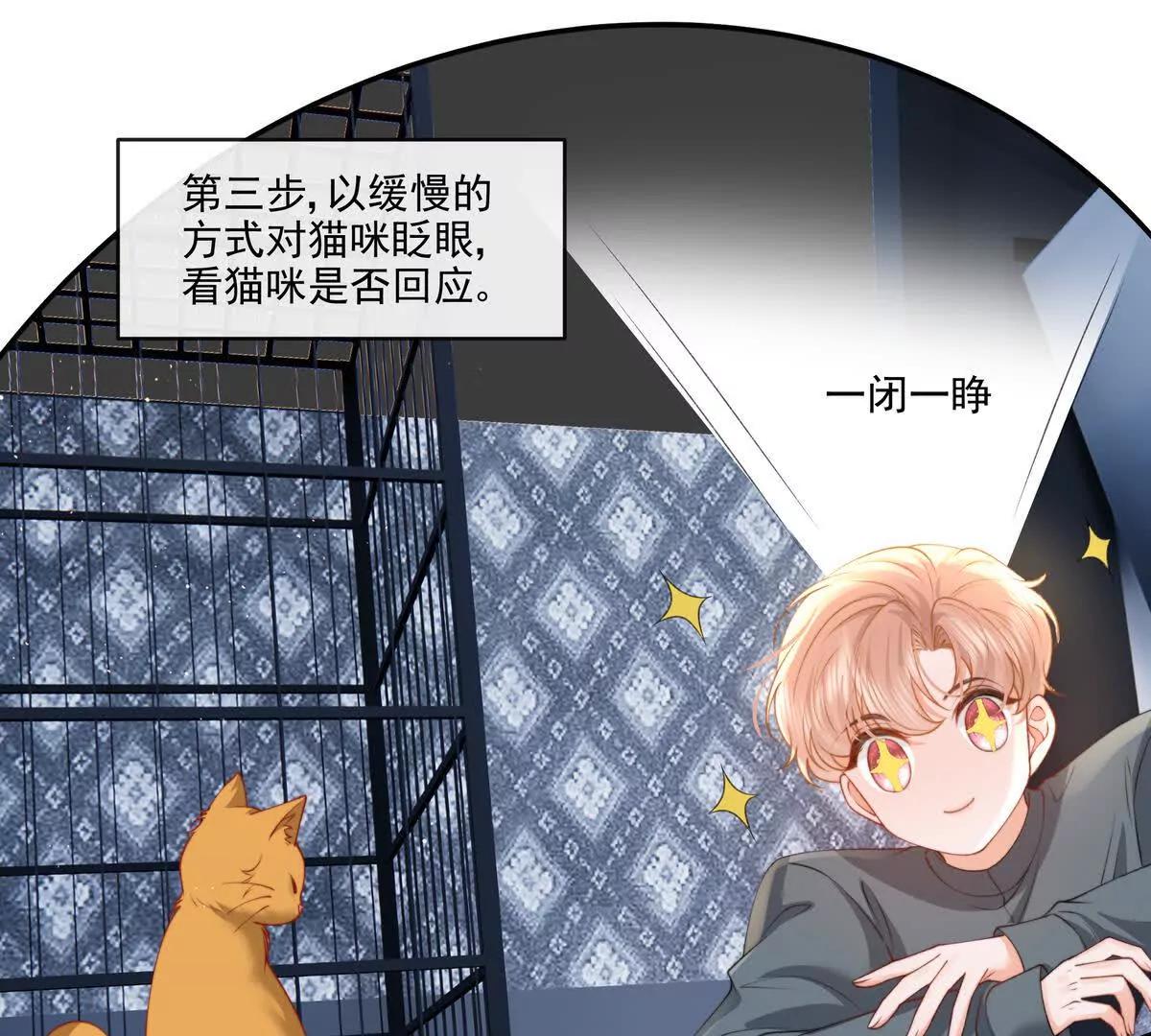 极限营救(1/2)-第44话