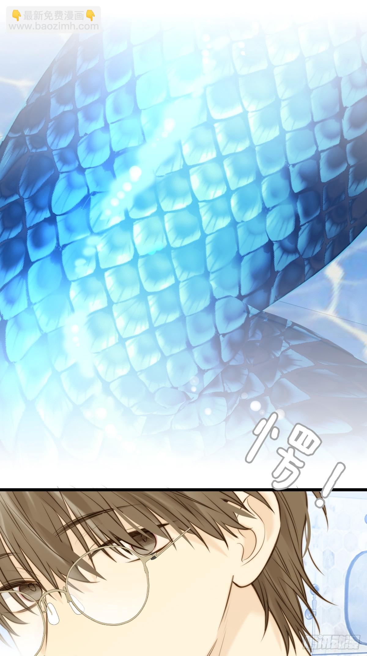 大饱眼福-第134话