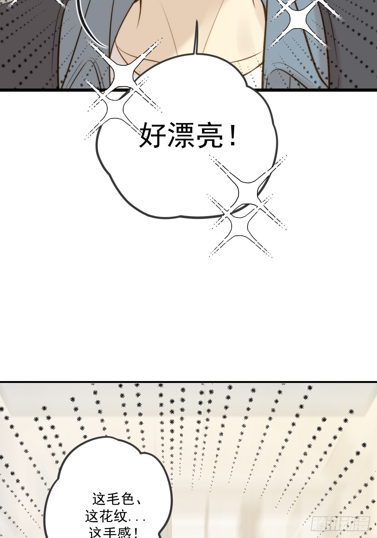 只有尾巴不可以！ - 家裡多了兩隻？(1/2) - 3