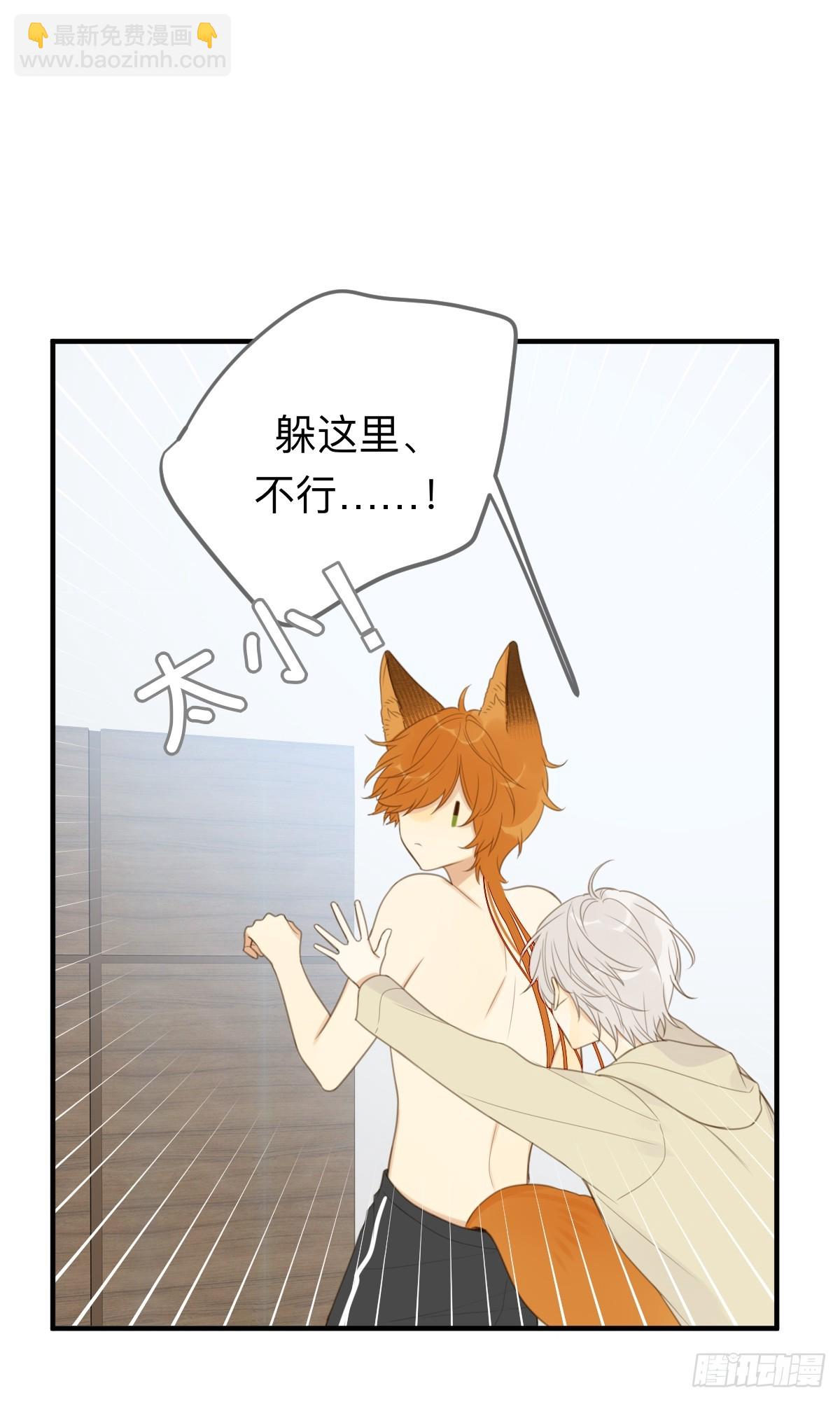 小狐狸被看见了！(1/2)-第22话