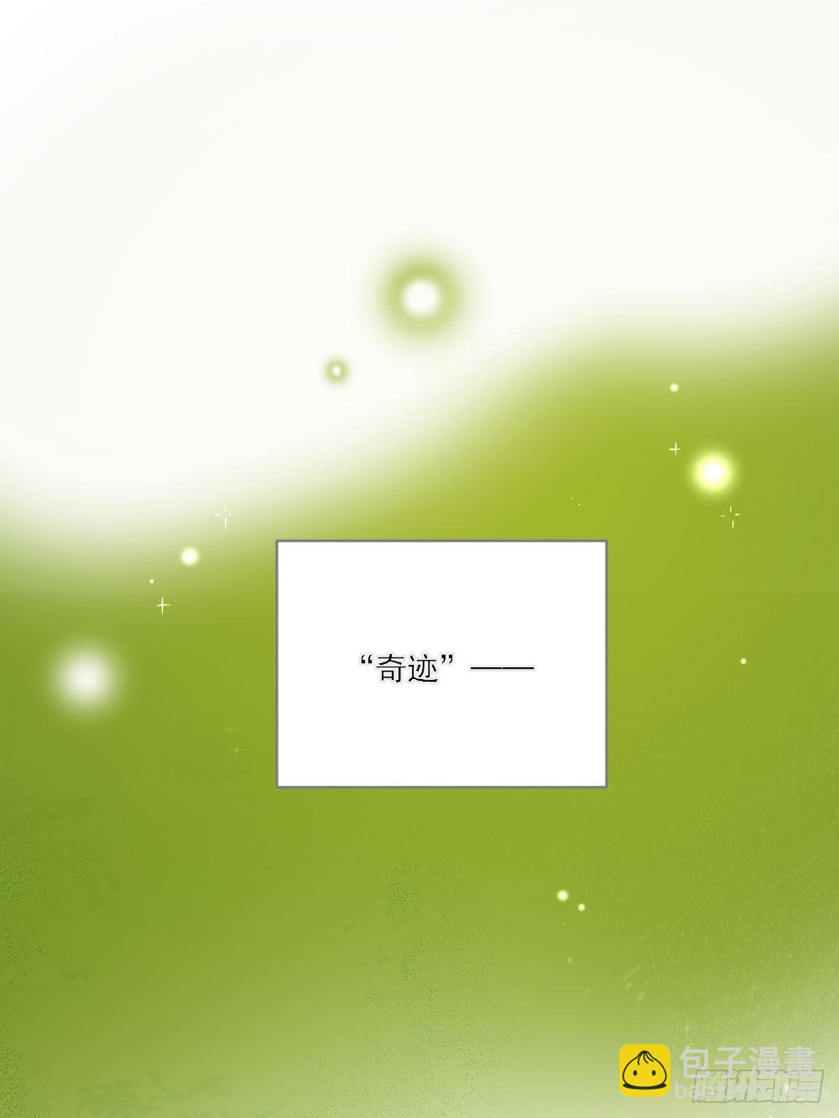 再次相遇却失忆？(1/2)-第4话