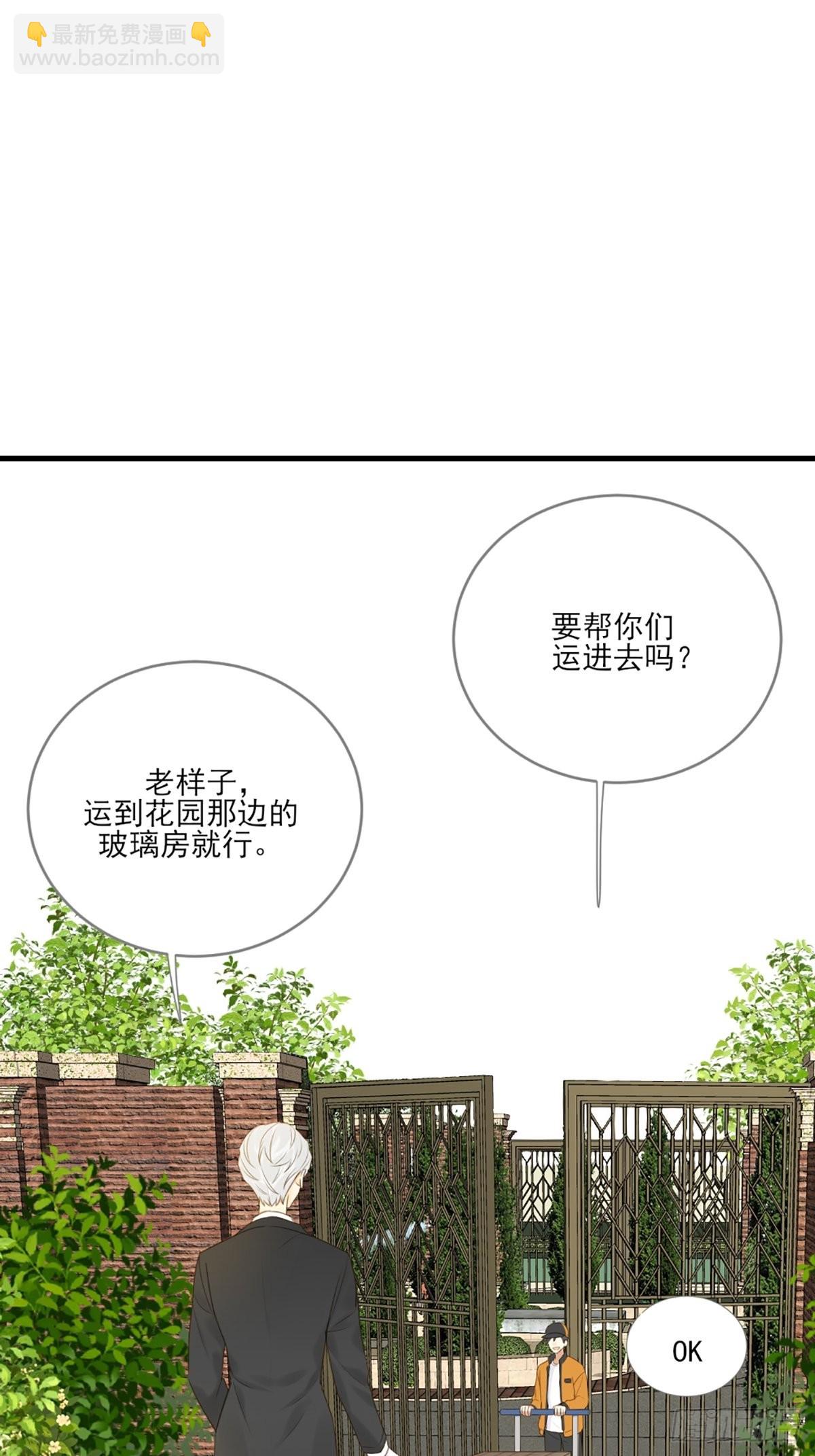 再次相遇却失忆？(1/2)-第4话