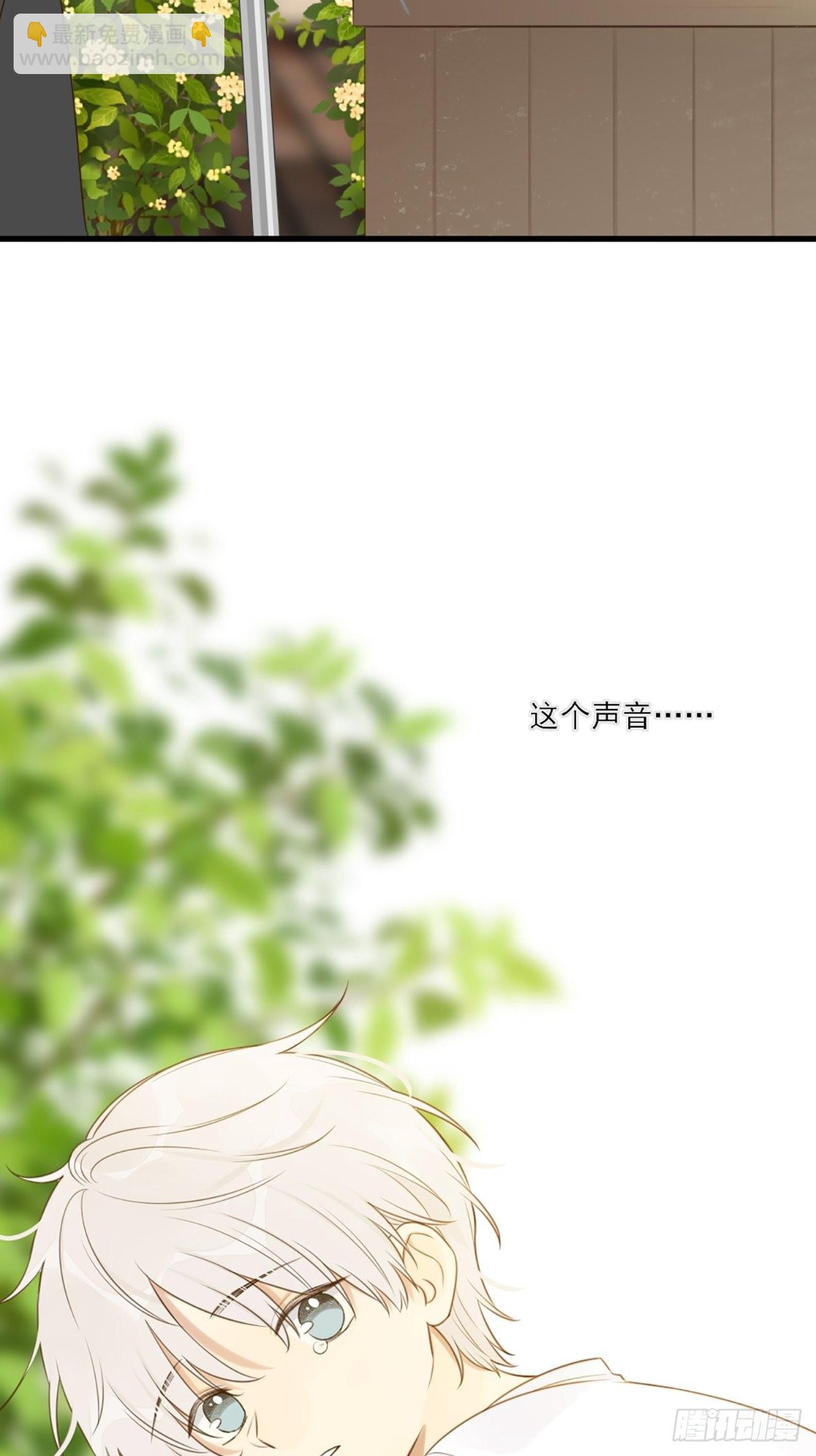 再次相遇却失忆？(1/2)-第4话