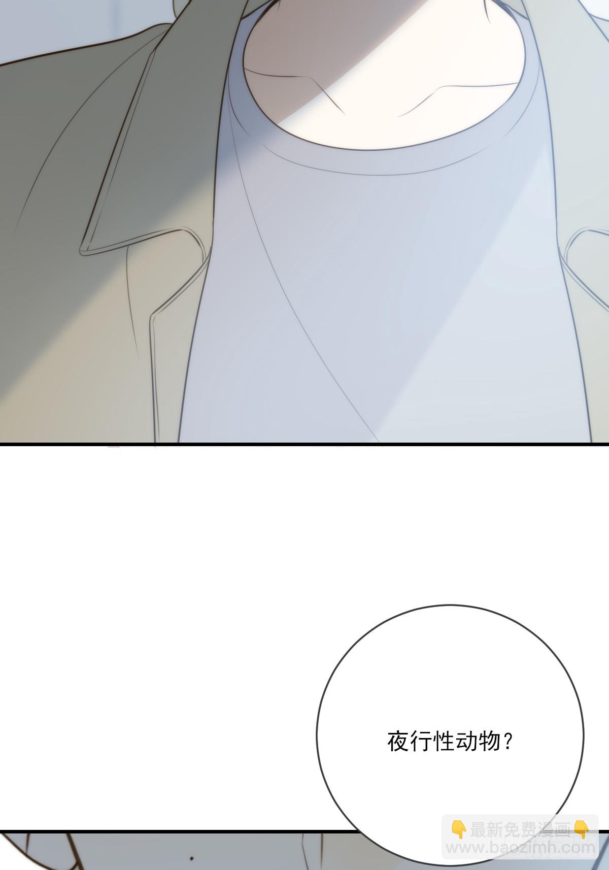 只有尾巴不可以！ - 夜行性動物？(1/2) - 1
