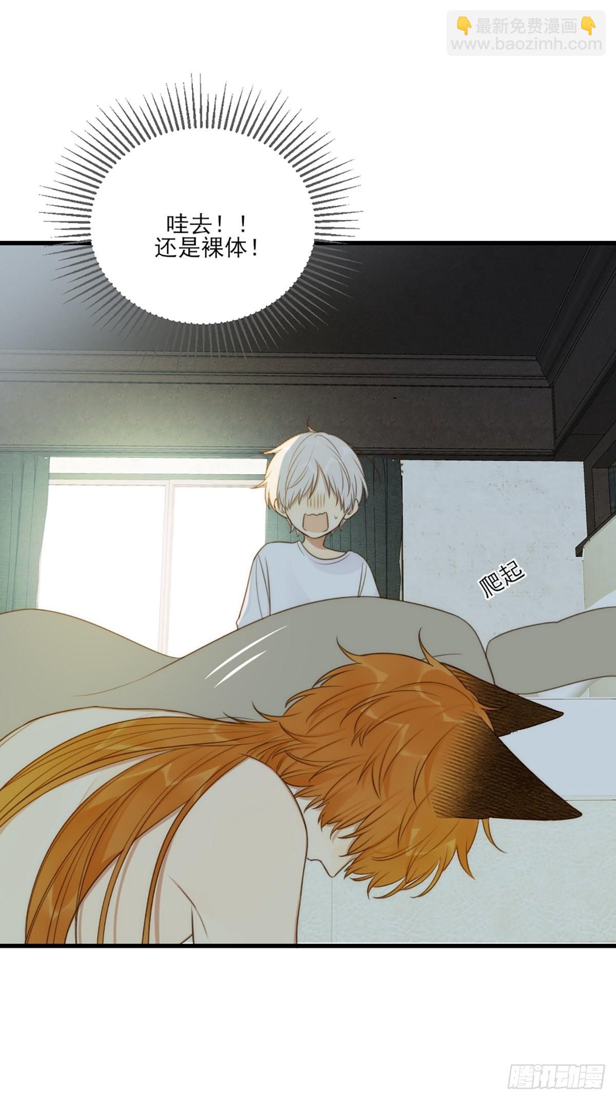 失忆的狐狸(1/2)-第6话