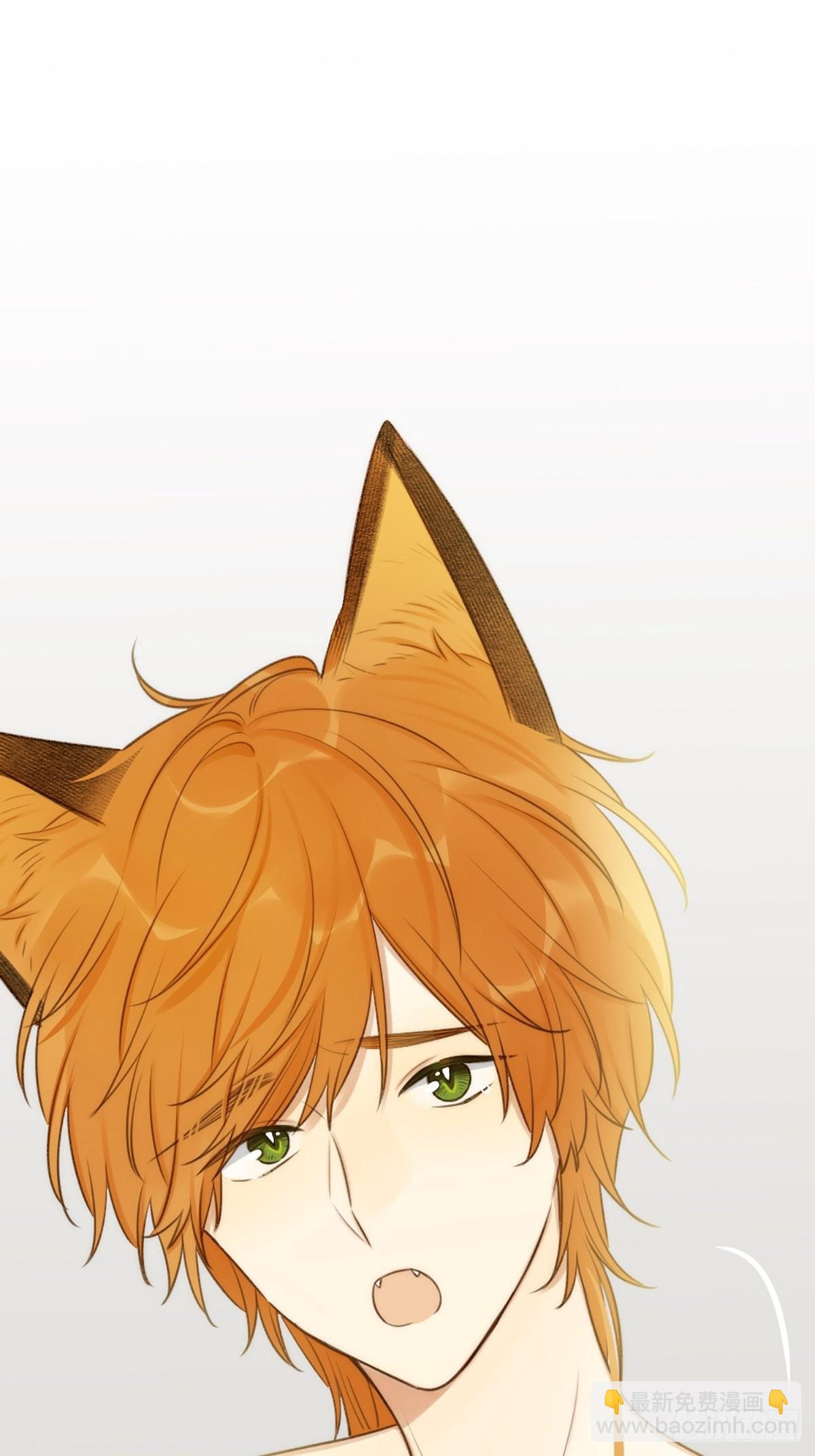 失忆的狐狸(1/2)-第6话