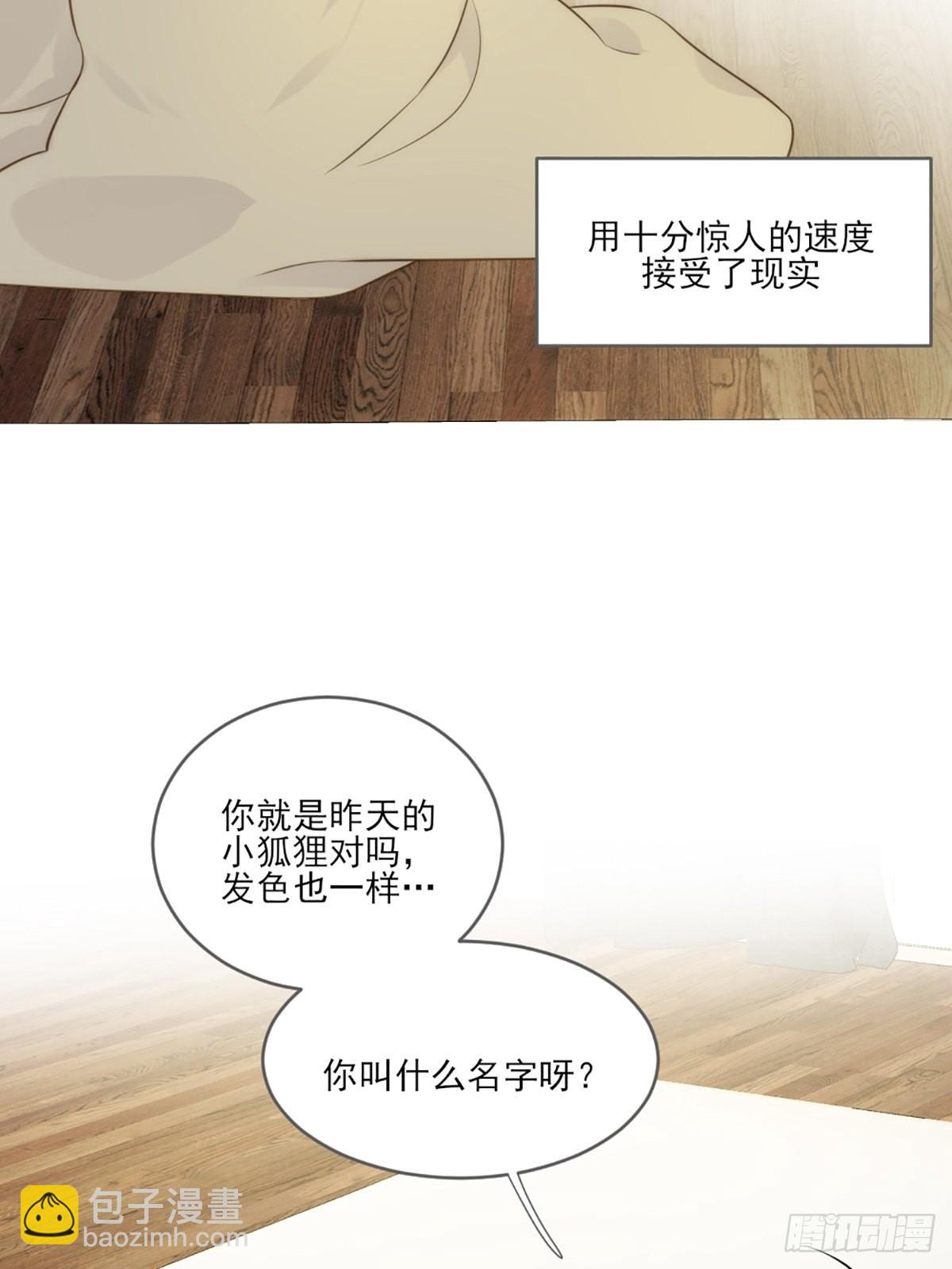 失忆的狐狸(1/2)-第6话