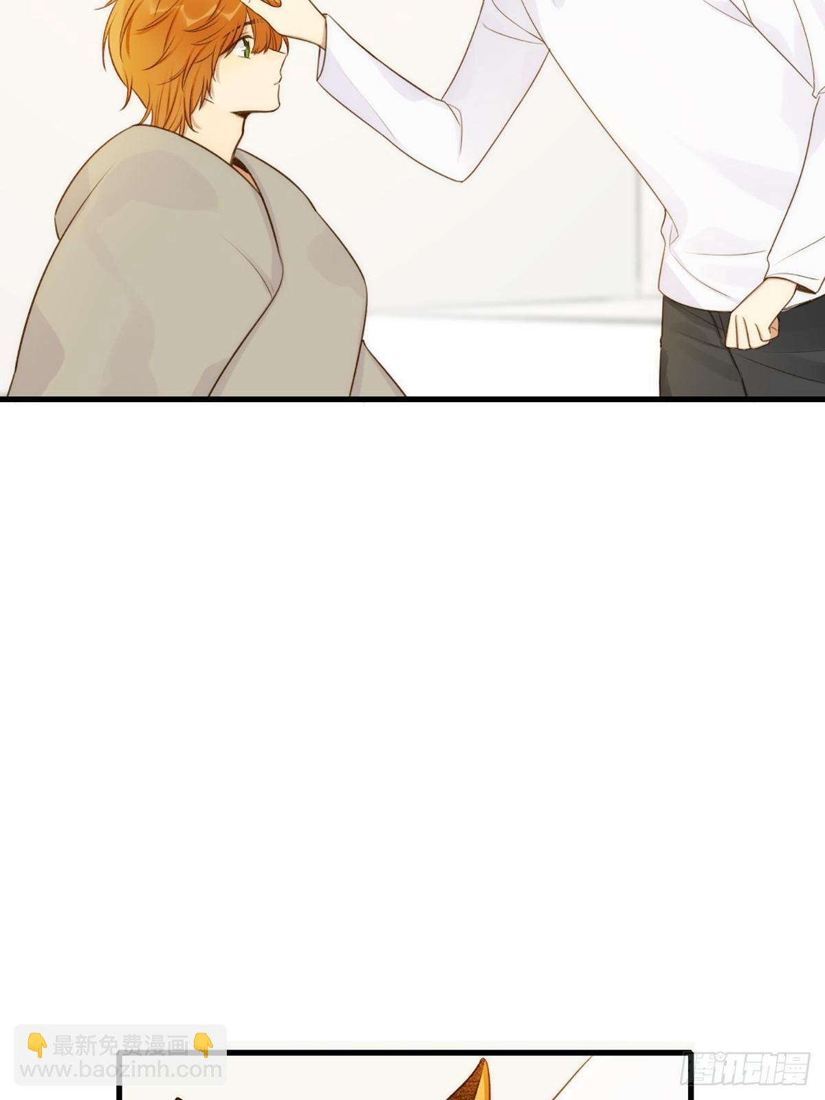 失忆的狐狸(1/2)-第6话