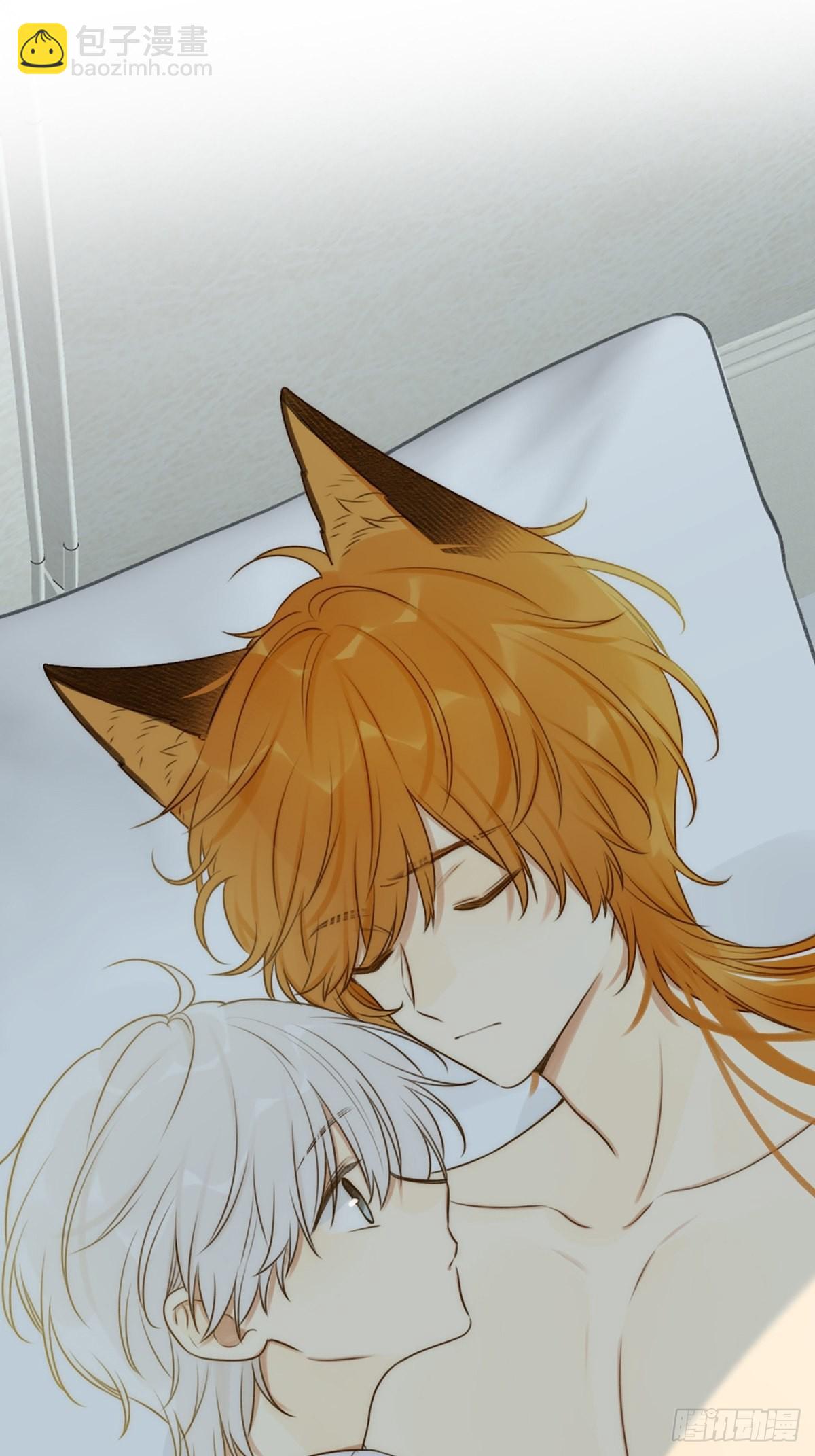 失忆的狐狸(1/2)-第6话