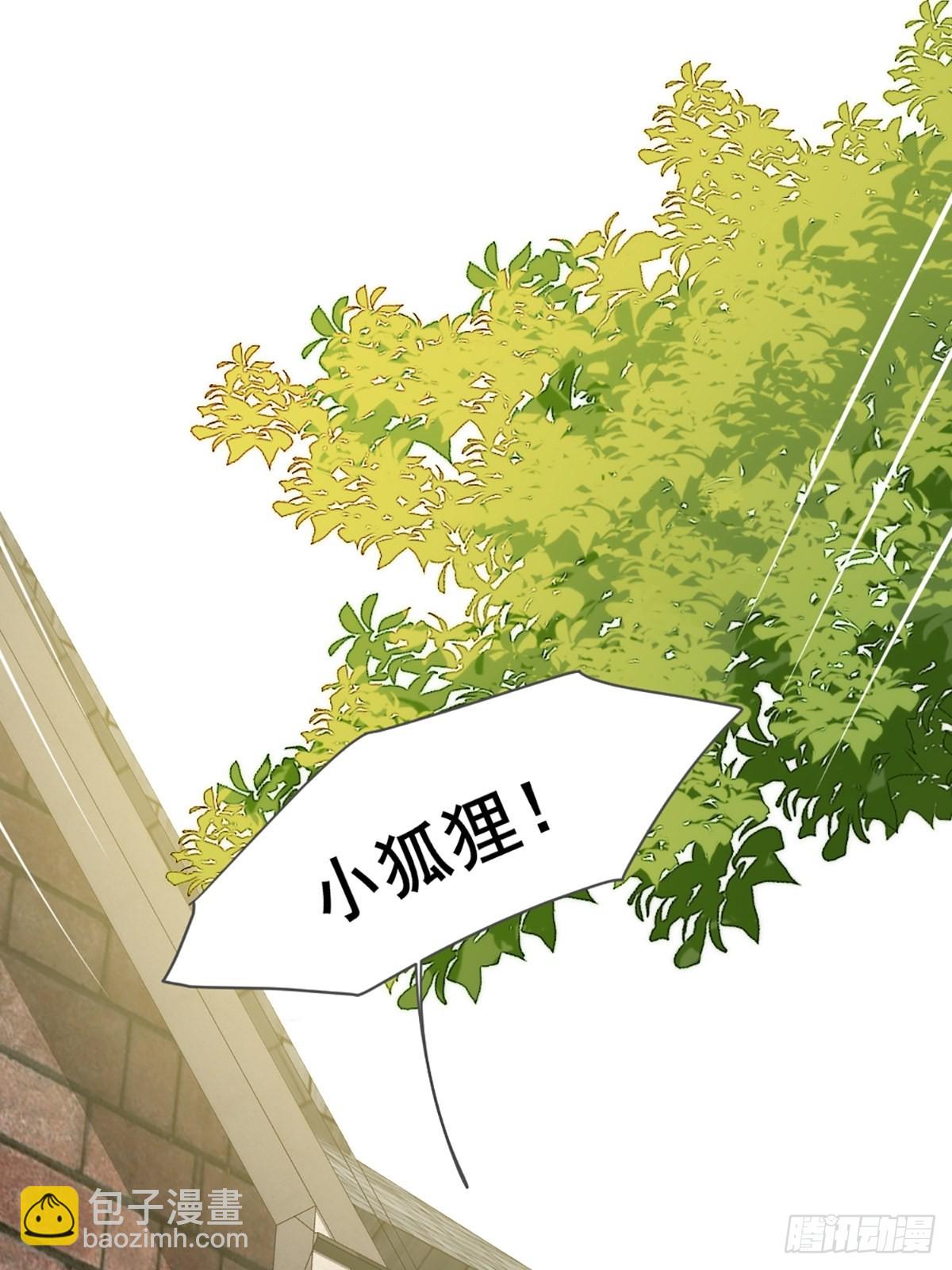 失忆的狐狸(1/2)-第6话